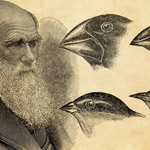 Charles_Darwin