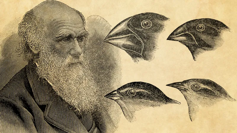 Charles_Darwin